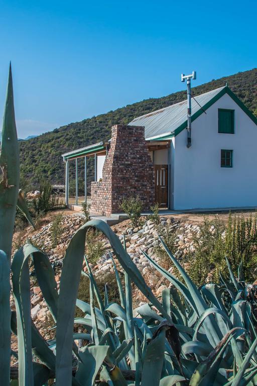Willa Matjiesvlei Guestfarm Calitzdorp Zewnętrze zdjęcie