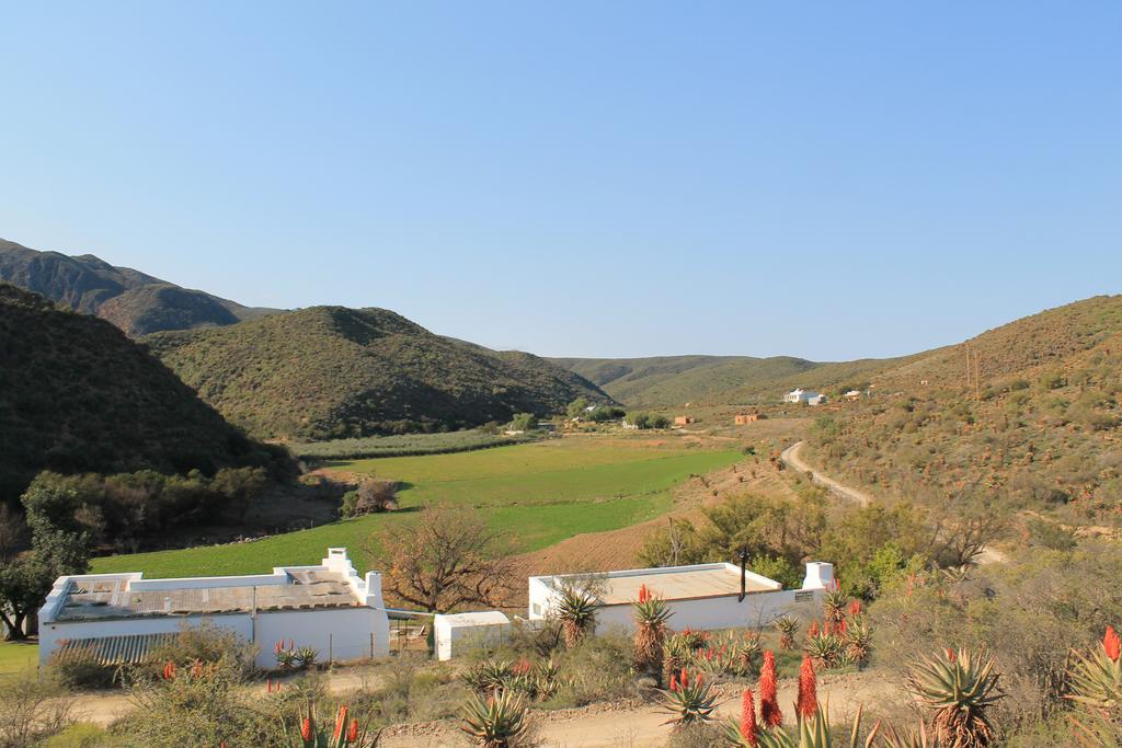 Willa Matjiesvlei Guestfarm Calitzdorp Zewnętrze zdjęcie