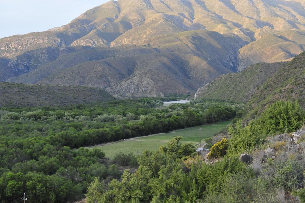 Willa Matjiesvlei Guestfarm Calitzdorp Zewnętrze zdjęcie